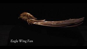 Arapaho Eagle Wing Fan